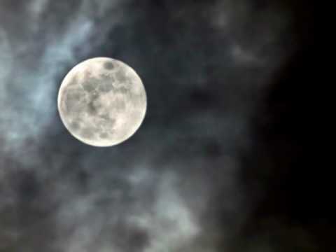 Текст песни  - Pierrot e la Luna