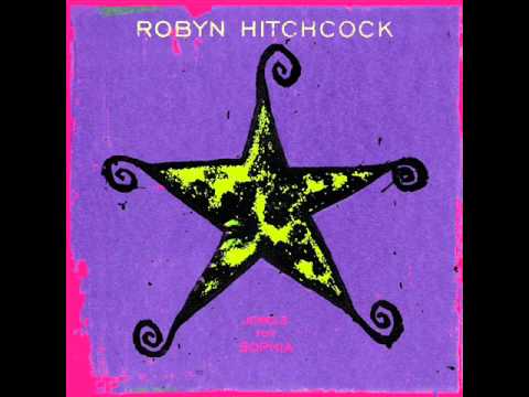 Текст песни Robyn Hitchcock - Century