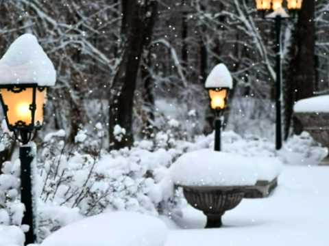 Текст песни С. Адамо - Падает снег