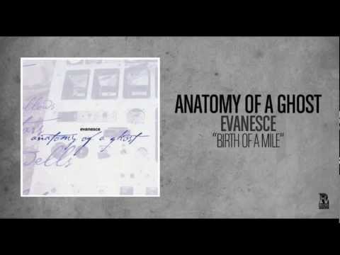 Текст песни Anatomy Of A Ghost - Birth Of A Mile