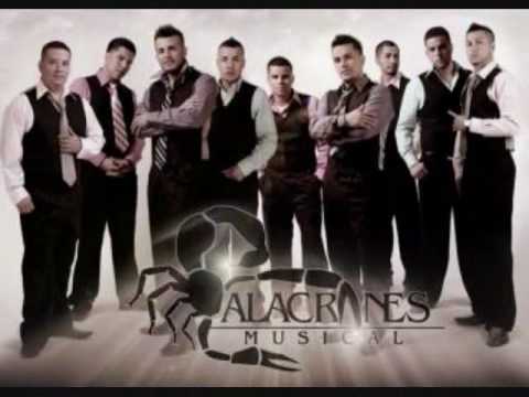 Текст песни Alacranes Musical - Quebradita En El Mar