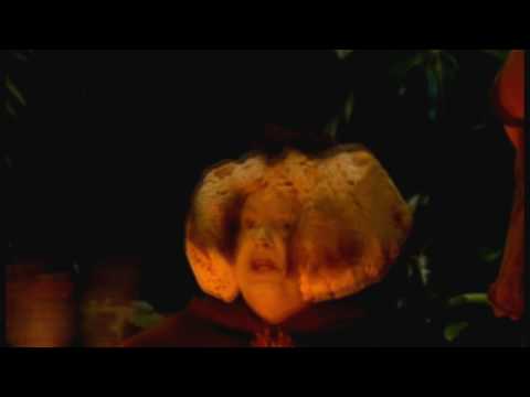 Текст песни The Mighty Boosh - The Cheese Song