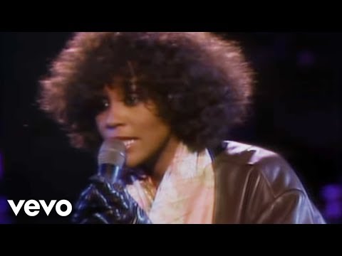 Текст песни Houston Whitney - Didn
