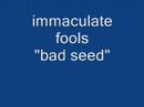 Текст песни Immaculate Fools - Bad Seed