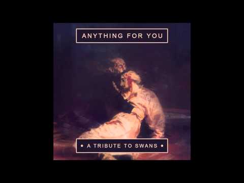 Текст песни Swans - The Sound