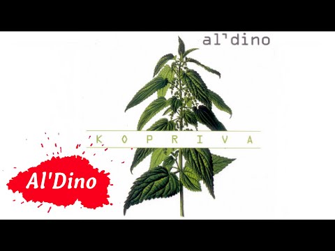 Текст песни Al Dino - Carsija