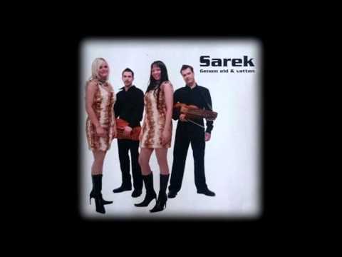 Текст песни Sarek - Tyst I Gläntan