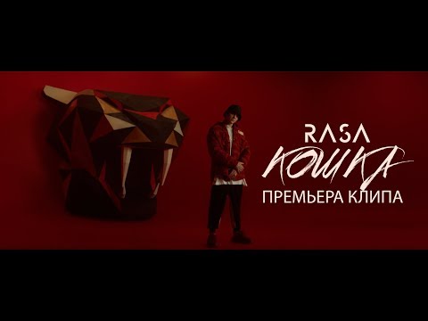 Текст песни RASA - Кошка