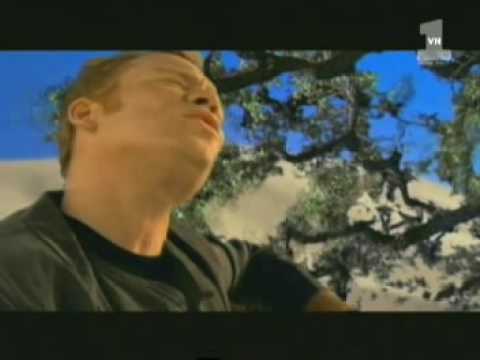 Текст песни Ali Campbell - That Look In Your Eye