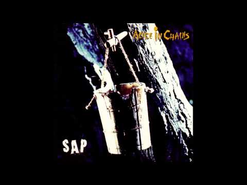 Текст песни Alice in Chains - [Sap EP 1992] - Brother