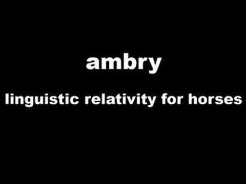 Текст песни  - Linguistic Relativity For Horses