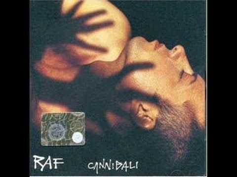 Текст песни Raf - Il Canto