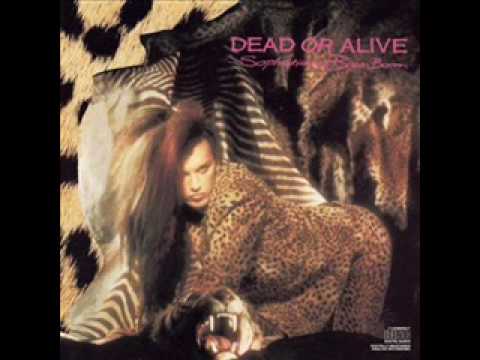 Текст песни Dead Or Alive - Wish You Were Here