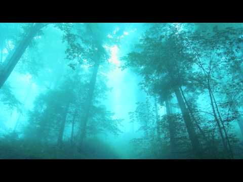 Текст песни Sunlounger - Lost (Aly & Fila Remix) [Magic Island]