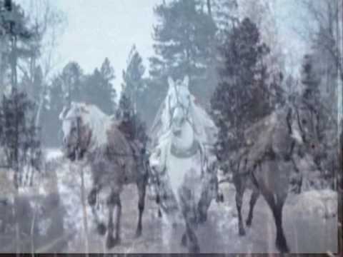 Текст песни  - Три Белых Коня