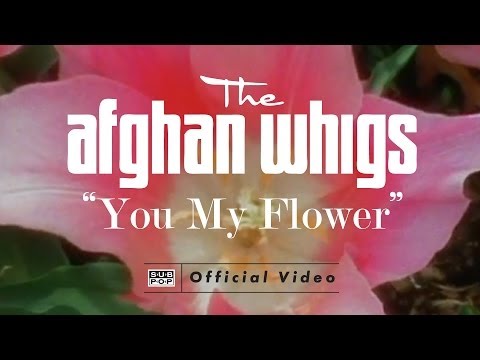 Текст песни Afghan Whigs - You My Flower