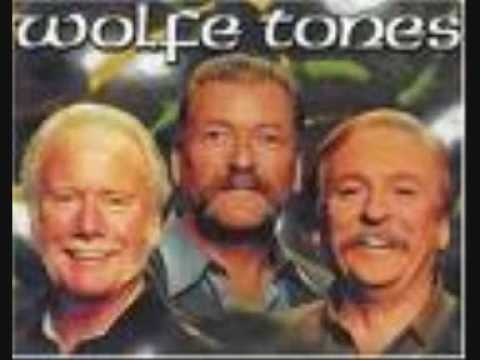 Текст песни Wolfe Tones - A Row In The Town (Erin Go Brath)
