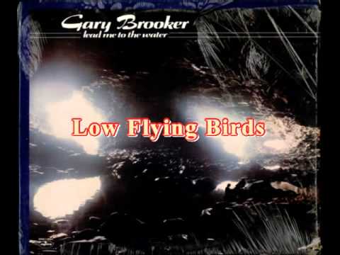 Текст песни  - Low-flying Birds