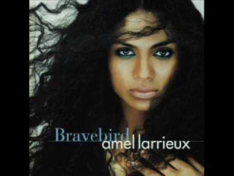 Текст песни Amel Larrieux - Bravebird