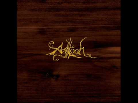 Текст песни Agalloch - As Embers Dress The Sky