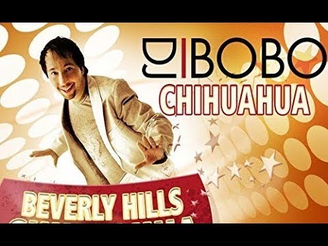Текст песни DJ Bobo - Chihuahua (шивава, jive, джайв)