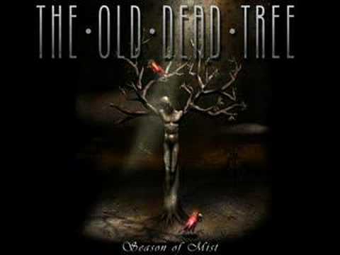 Текст песни The Old Dead Tree - I Wont Follow Him