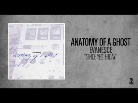 Текст песни Anatomy Of A Ghost - Since Yesterday