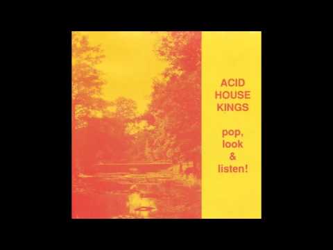 Текст песни Acid House Kings - Your Favourite Flower