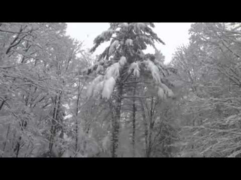 Текст песни  - Музыка под снегом
