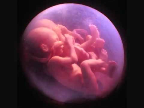Текст песни  - Conversation In The Womb