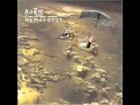 Текст песни Adem - Long Drive Home