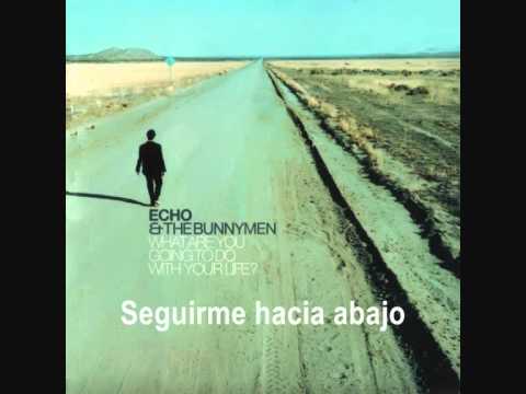 Текст песни Echo & The Bunnymen - What Are You Going To Do With Your Life