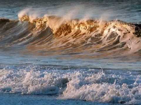 Текст песни  - Whispering Waves