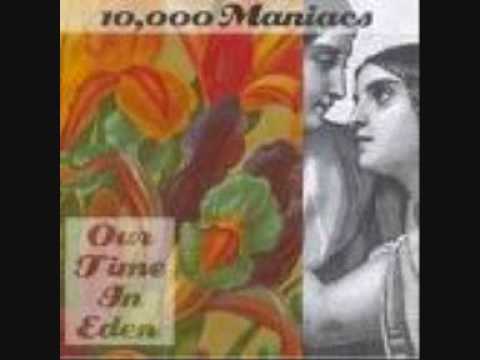 Текст песни  Maniacs - Noahs Dove