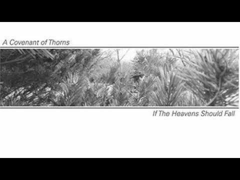 Текст песни A Covenant Of Thorns - This Decay