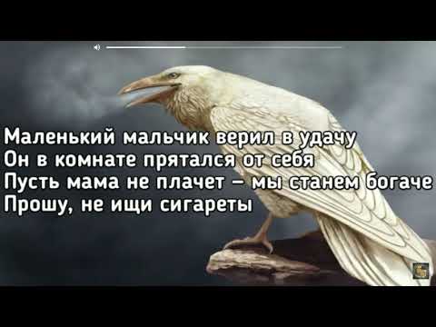Текст песни  - Белая ворона