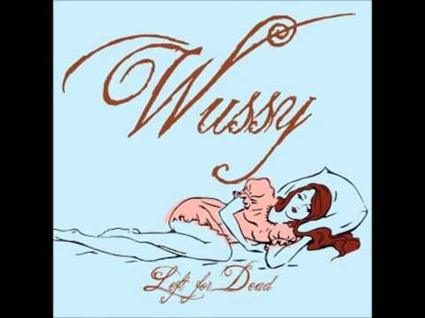 Текст песни Wussy - Trail Of Sadness