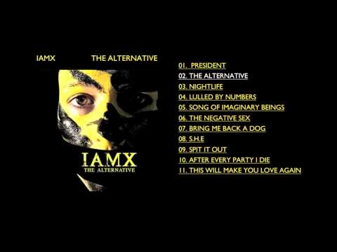 Текст песни IAMX - The Alternative