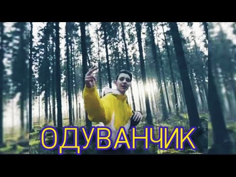 Текст песни  - Одуванчик
