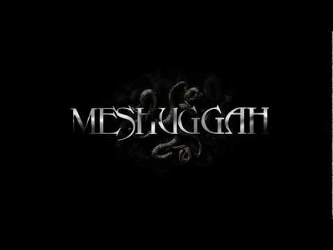 Текст песни MESHUGGAH - The Paradoxical Spiral