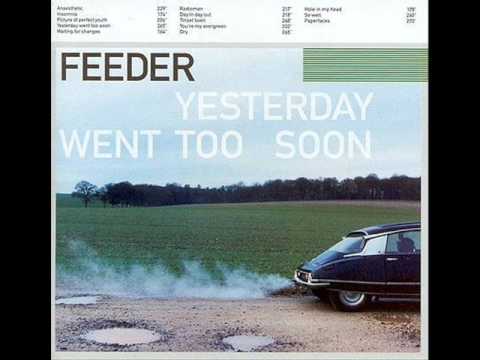 Текст песни Feeder - So Well
