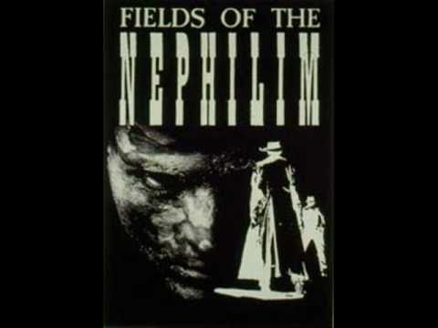 Текст песни FIELDS OF THE NEPHILIM - Trees Come Down