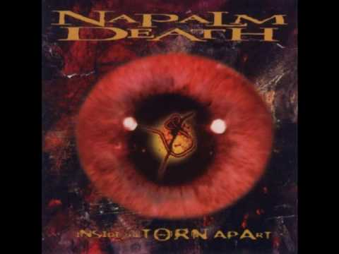 Текст песни Napalm Death - Reflect On Conflict