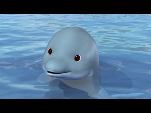 Текст песни  - Машины дельфины