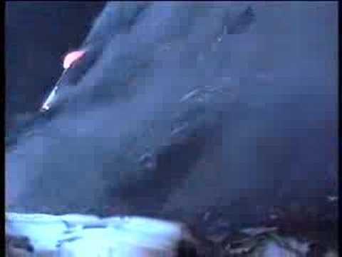 Текст песни  - Waiting To Die