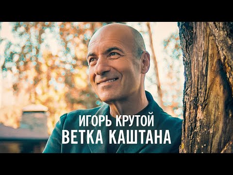 Текст песни Игорь Крутой - Ветка каштана