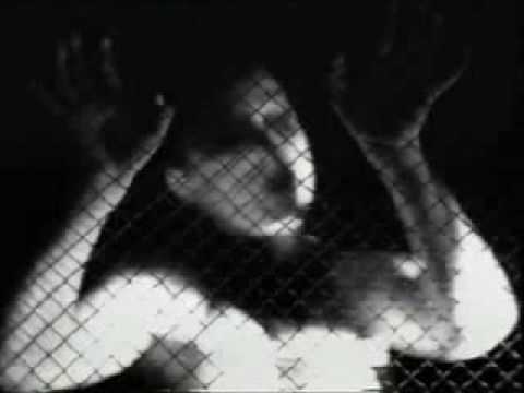 клип  - The Hidden Cage