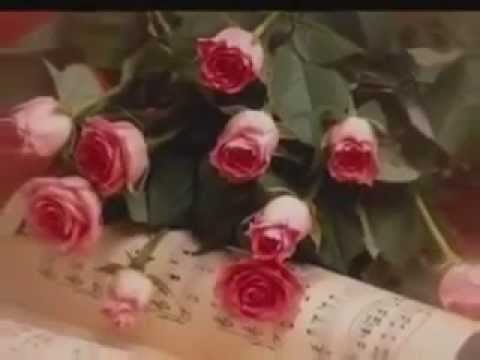 Текст песни  - Червона троянда